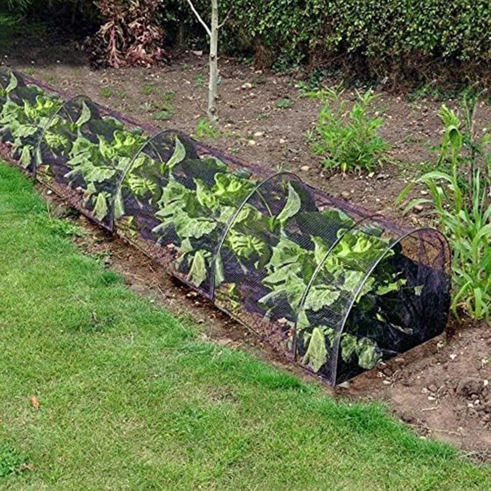 Telo copriaiuole rialzate 300x45x45 cm Protezione Isolante Termica Piante | Tunnel di Crescita Protezione Delle Aiuole Rialzate Da Esterno E Giardino, Adatta A Ortaggi, Frutta, Fiori E