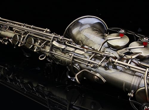 Miniatura 39 de Kit de cuidado para saxofón con 11 reeds, 8 para saxofón alto cojines, funda, Glory E Flat, Dorado