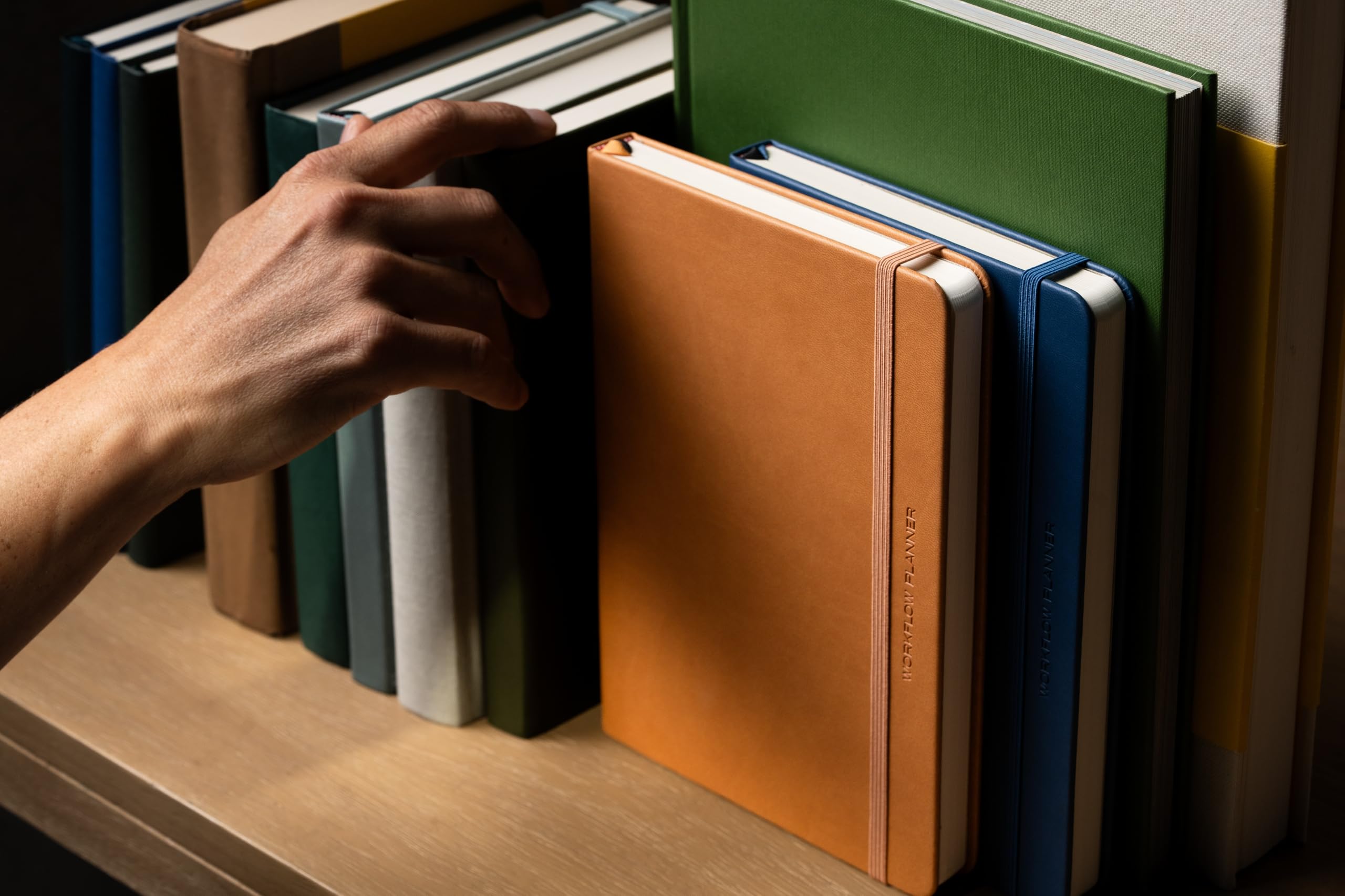 View 8