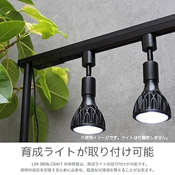 LIM AIRON CRAFT 育成ライトレールスタンド 140cm 挟込タイプ 楽天市場】ライトレールスタンド 卓上スタンド ライト 育成