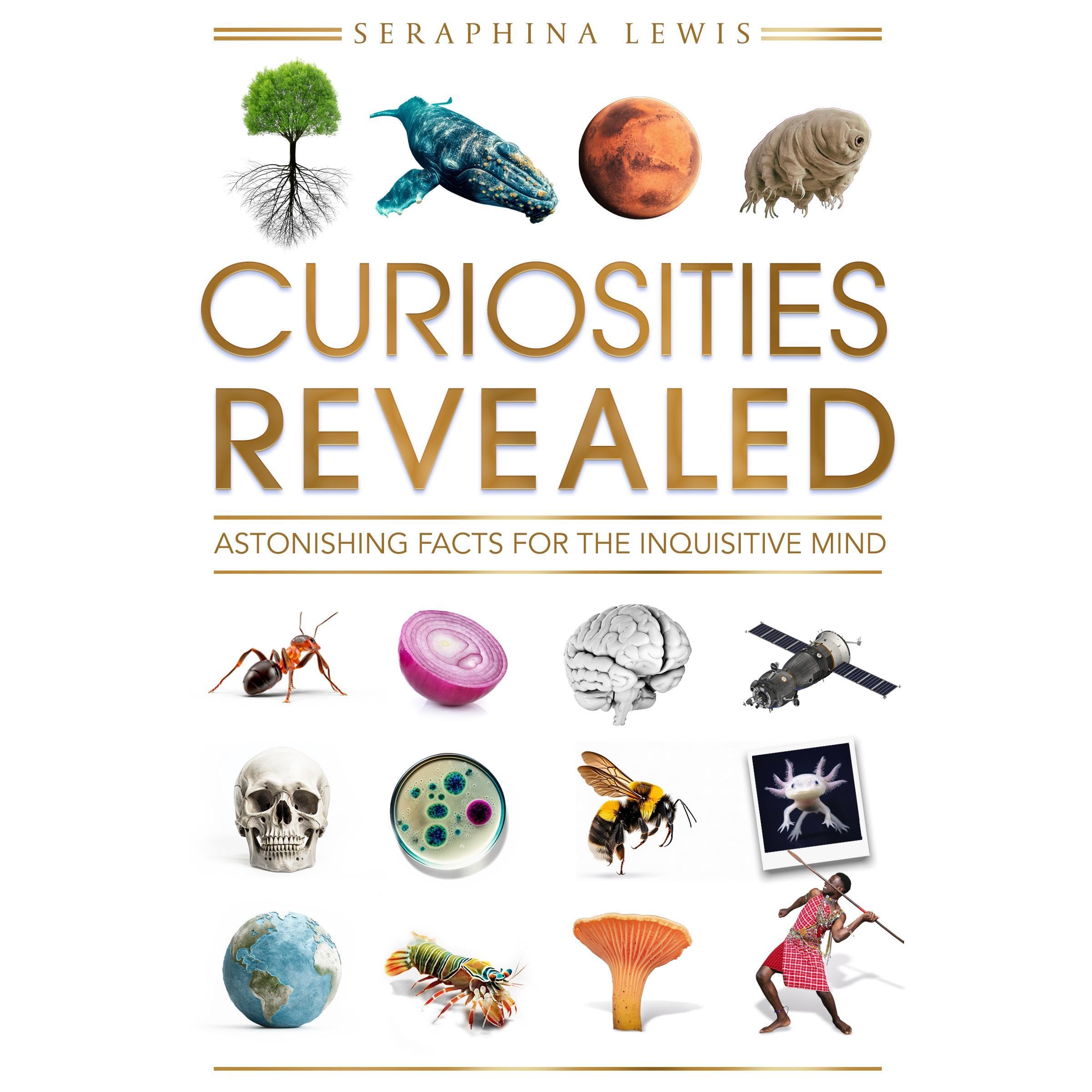 Cover art for Curiosities Revealed