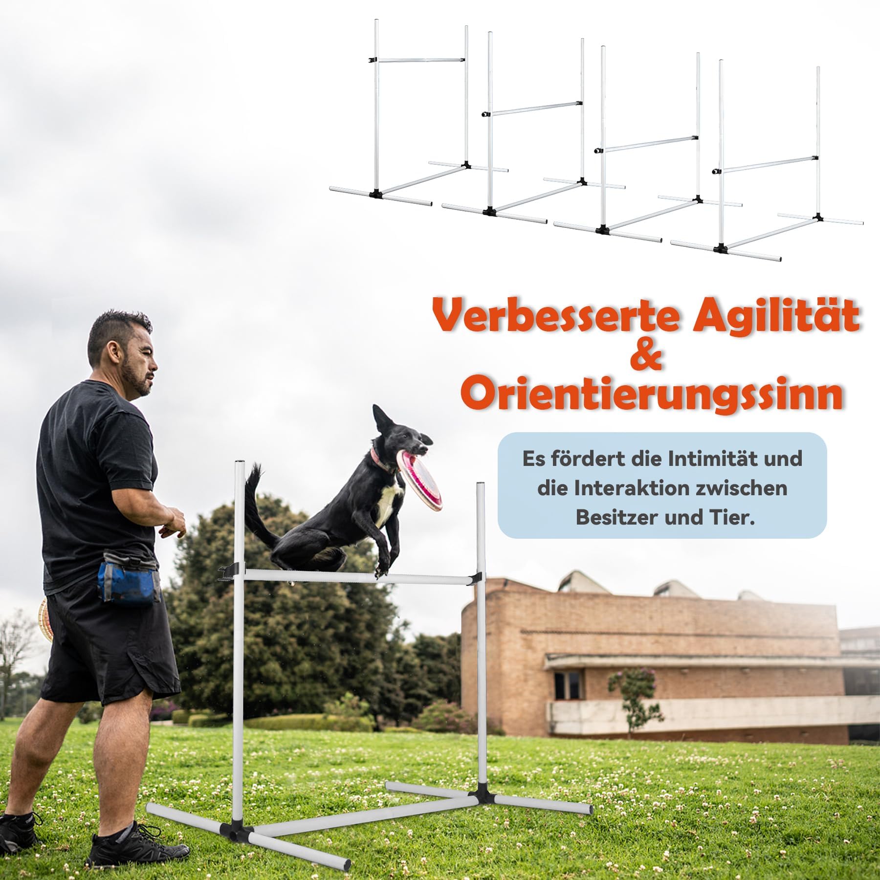 UISEBRT Hunde Agility Set, 4er Slalom Stangen Hürdenset für Haustiere, PVC Hundetrainings-Set mit Tragetasche, Höheinstellbar 104x70x101cm, Weiß