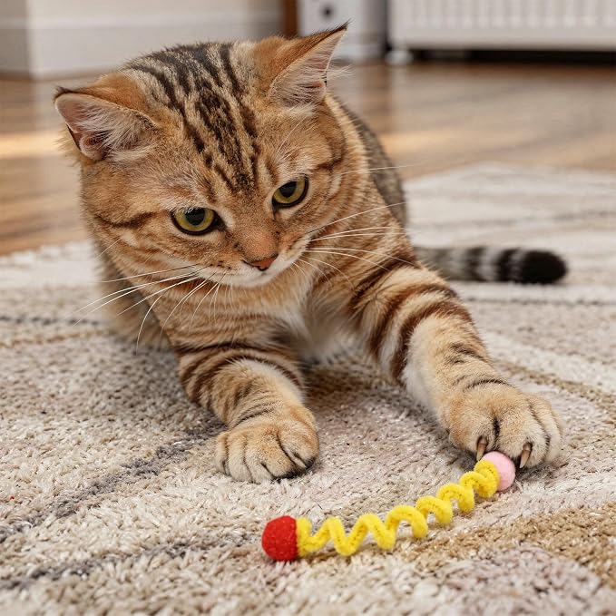 24 piezas juguete espiral para gato multicolor miniatura 7