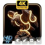 Neon Eagle: Buzzing Lights & Dark Ambience