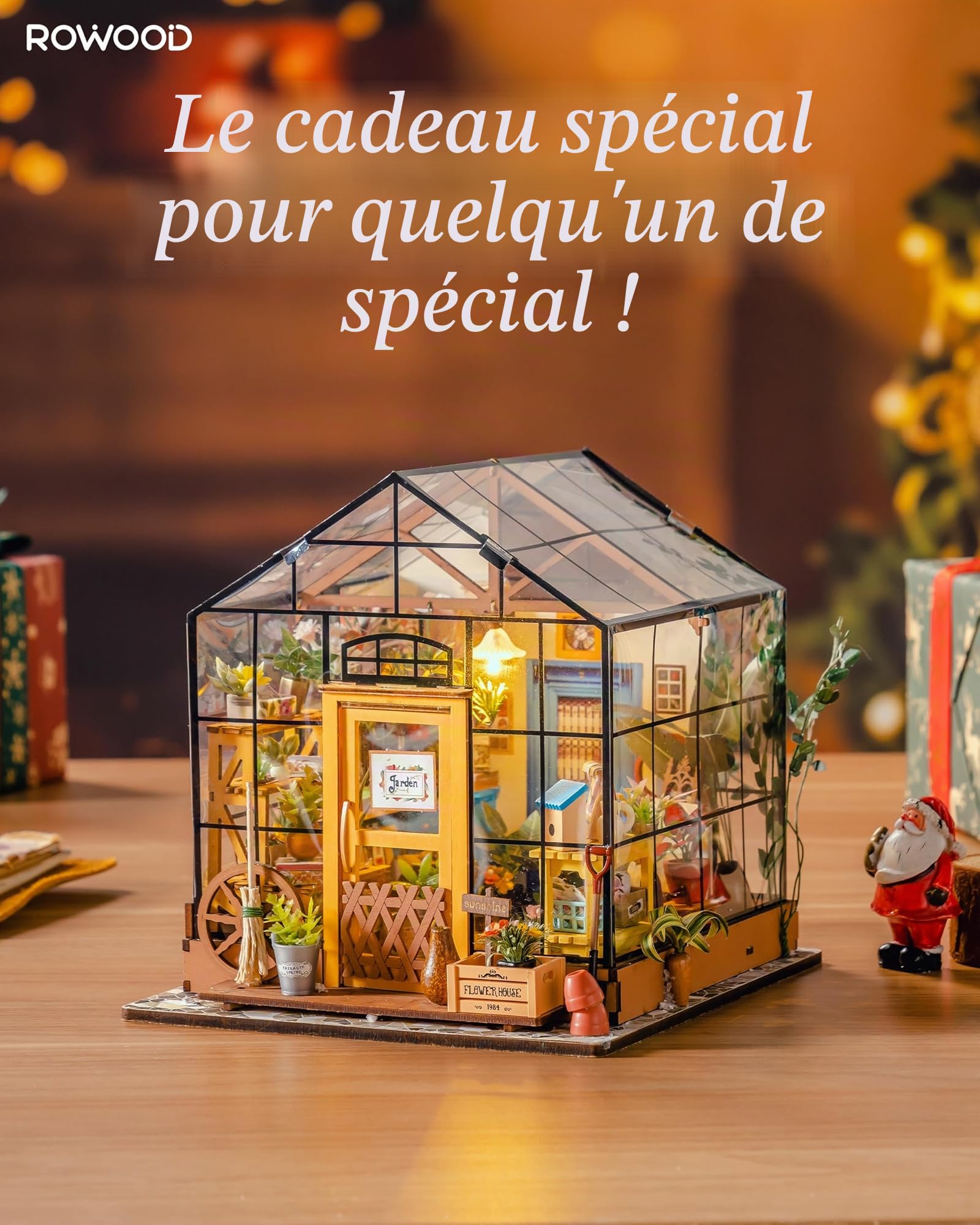 ROWOOD Mini Maison Fleurie de Cathy Miniature de poupée Serre, en Bois, Bricolage Set modèle, Cadeau d'anniversaire pour Adulte Femme Fille