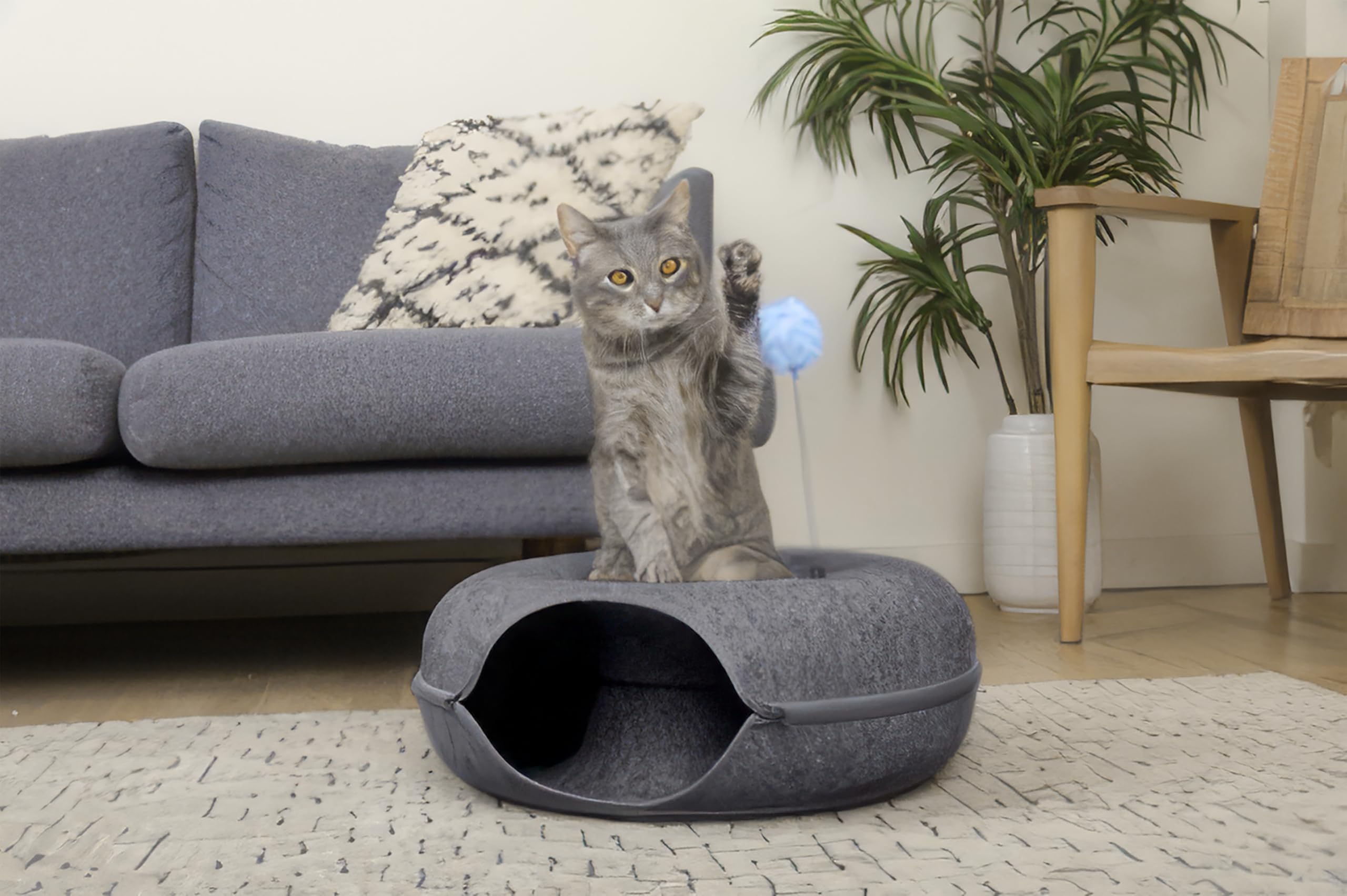 Feline Paradise Donut, cuccia per gatti a tunnel per gatti, tunnel per gatti, nascondiglio per gatti Jia Xi, grotta per gatti Peekaboo (grigio scuro, M)
