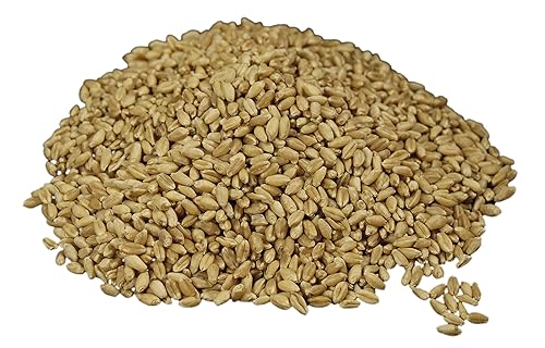 Miniatura 10 de Bayas de trigo rojas duras Wheatland  25 libras a granel Preparación de emergencias Mylar  Absorber de oxígeno 30 años de vida útil Sin OMG sin