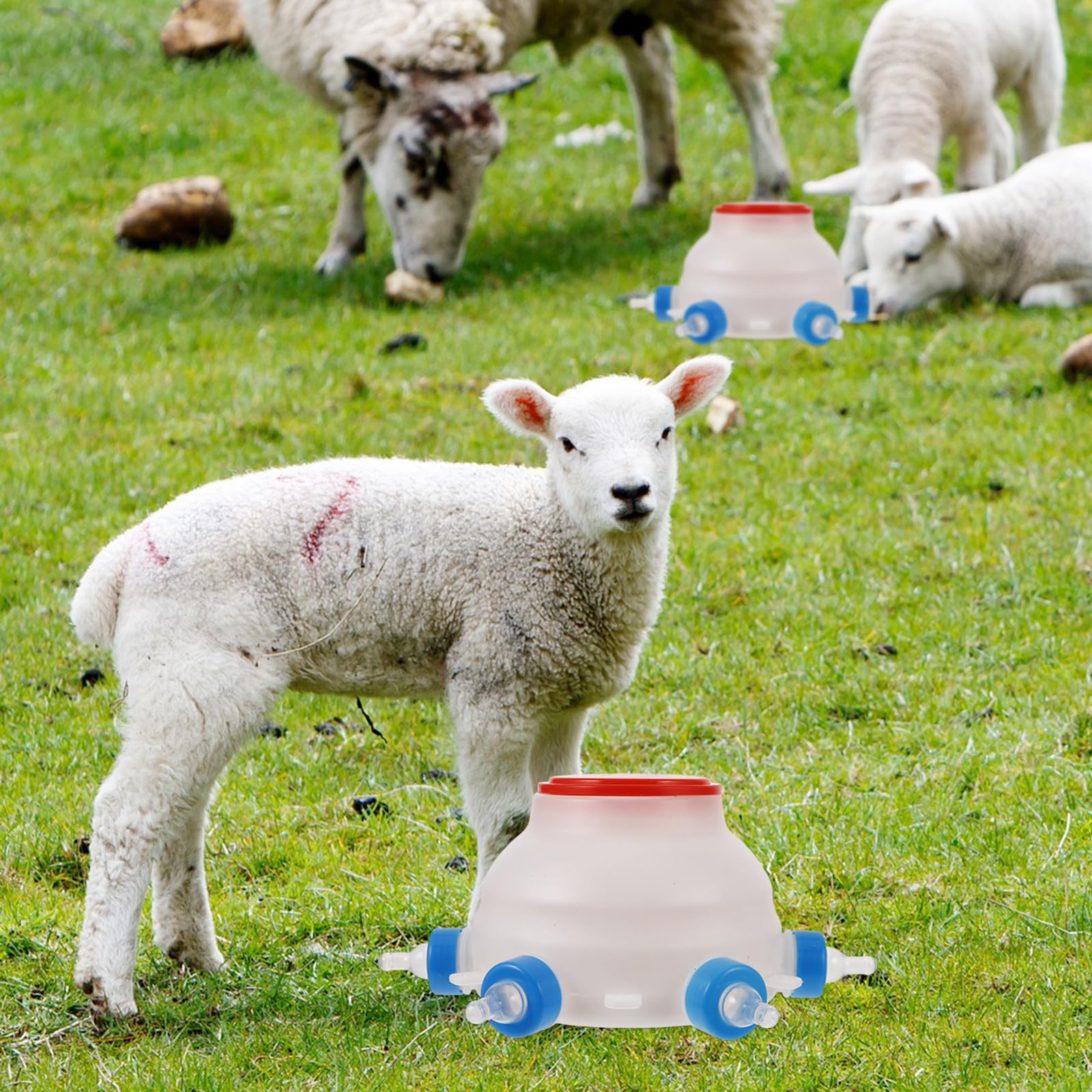 ULTECHNOVO Biberon per Agnelli in Plastica Bianco da 2,5 per Piccoli Animali, Alimentazione Efficiente e Multifunzionale per Allevatori in Fattoria