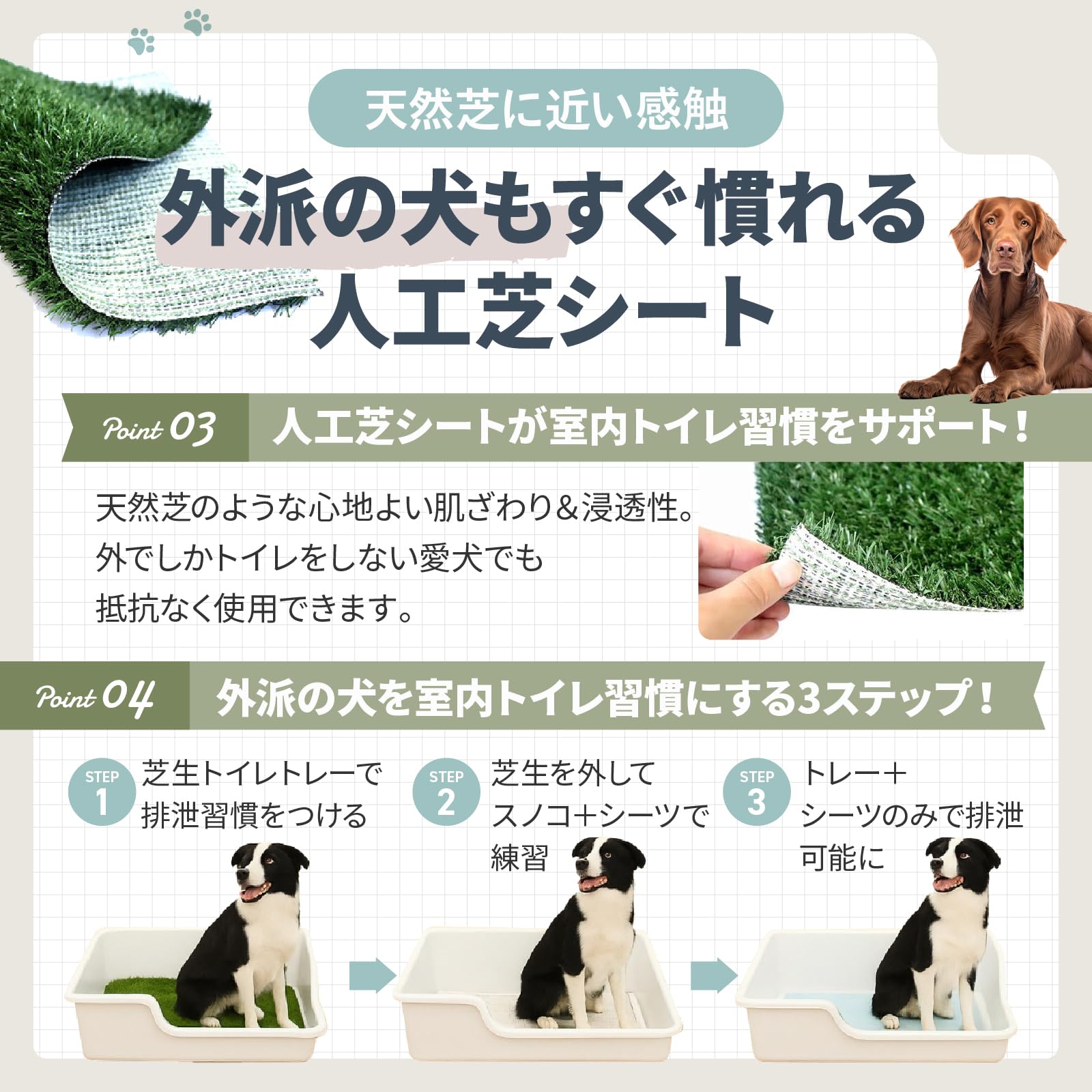Amazon | DogLife 犬 トイレ トレー 大型犬 特大 スーパー ワイド