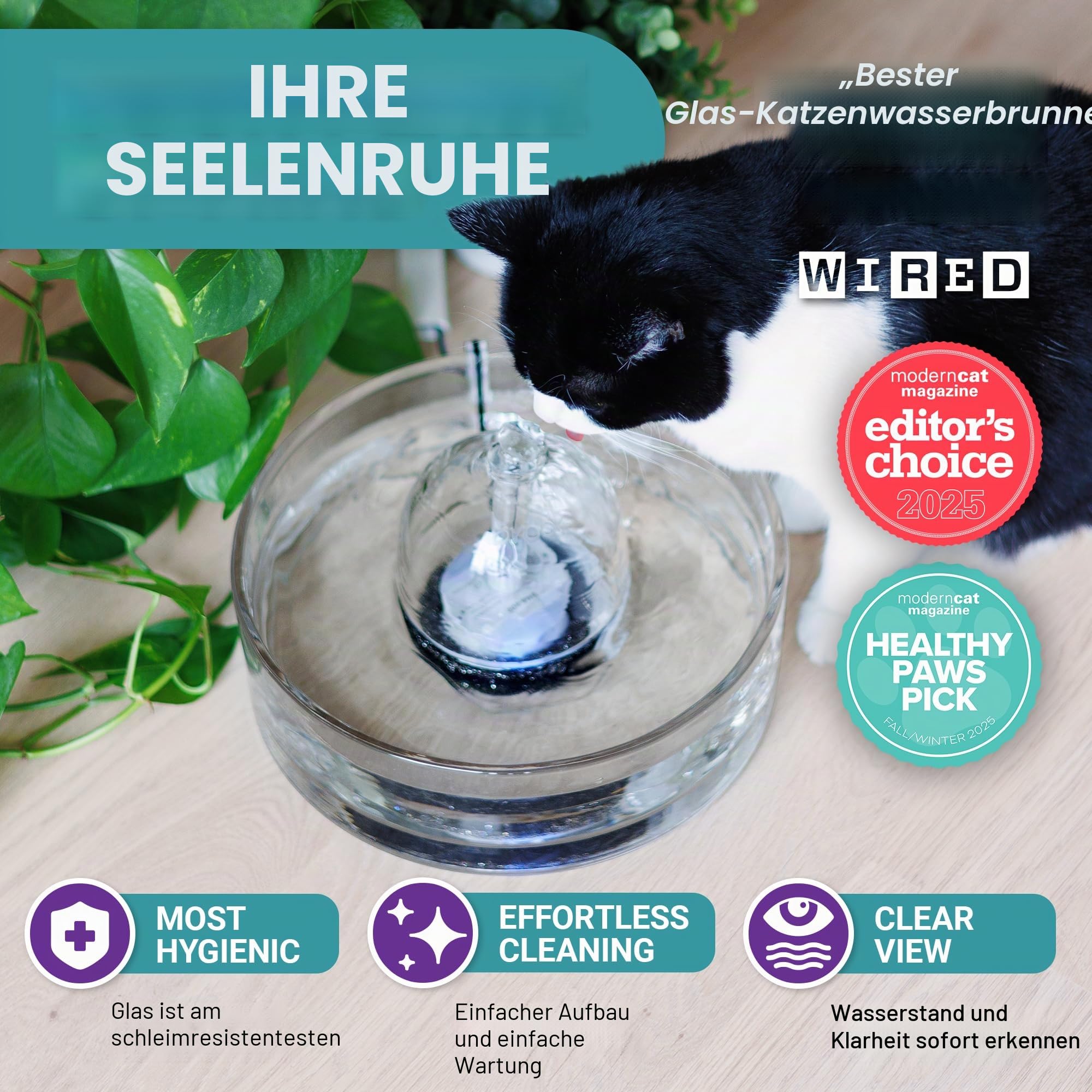 Brook Glas Haustier Brunnen (2,551.5 g/2.7L) - Katze & Hund Wasserbrunnen - Glas Katzenbrunnen & Automatischer Wasserspender zum Trinken