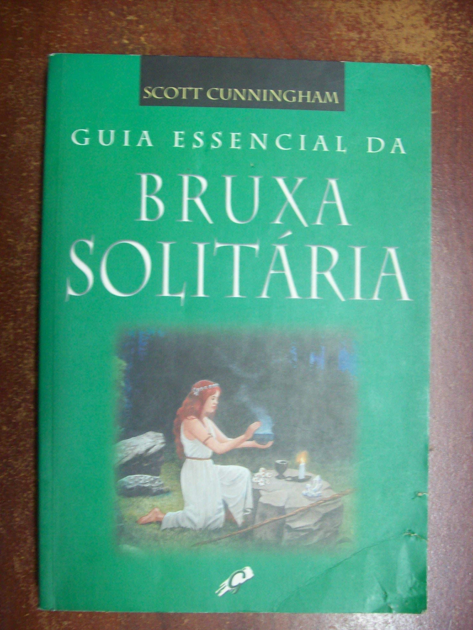 Capa de A Bruxa Solitária