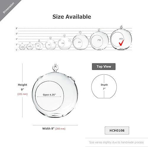 Miniatura 2 de WGV - Globo colgante de terrario, 8 pulgadas de ancho, 9 pulgadas de alto, maceta de aire para suculentas, florero de vidrio transparente con parte