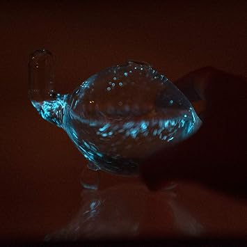 The Living Bioluminescent Bio-Turtle Glass Turtle Microaquarium | Filled with Bioluminescent Glowing Plankton