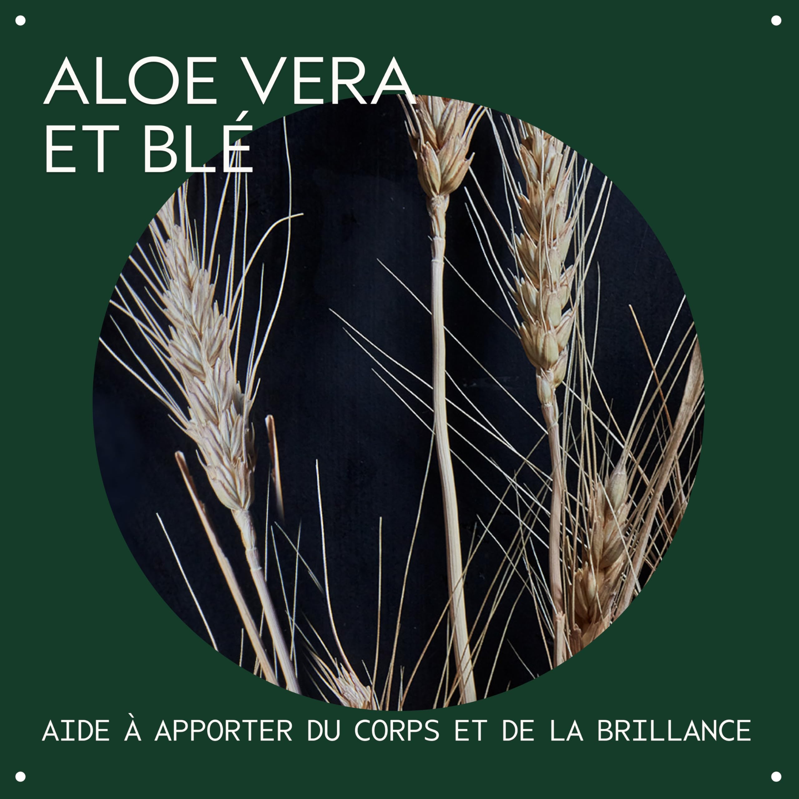 Aveda Tonique Volumateur Spray Volume Coiffant Cheveux Fins 100 ml