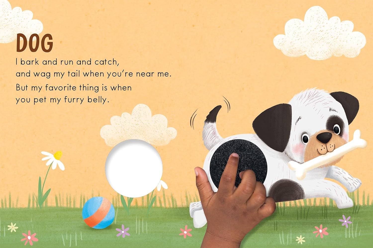 Explore with Adorable Pets: An Engaging Touch & Feel Sensory Experience for Kids!