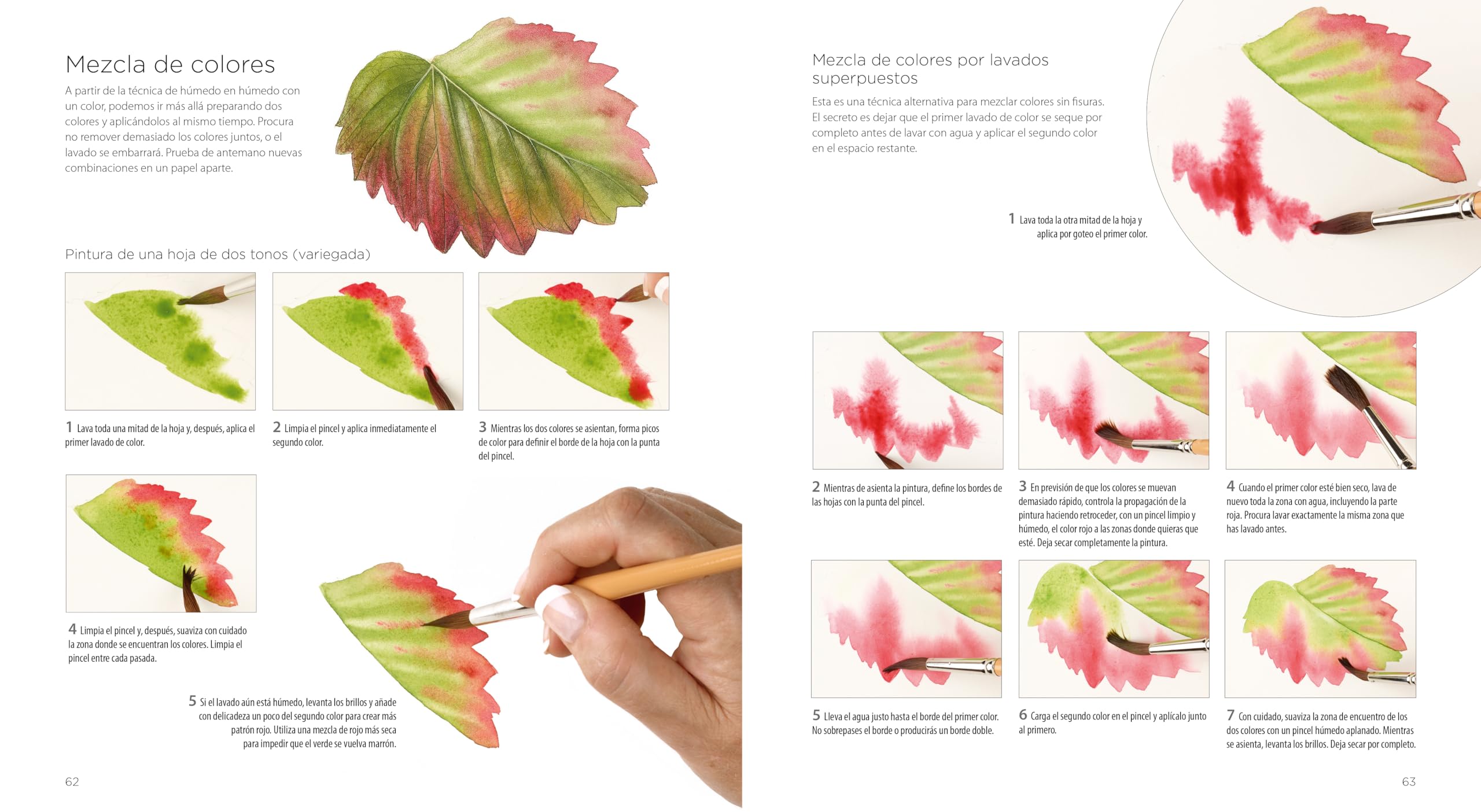 PINTURA BOTÁNICA: Aprende a pintar flores y plantas con acuarela