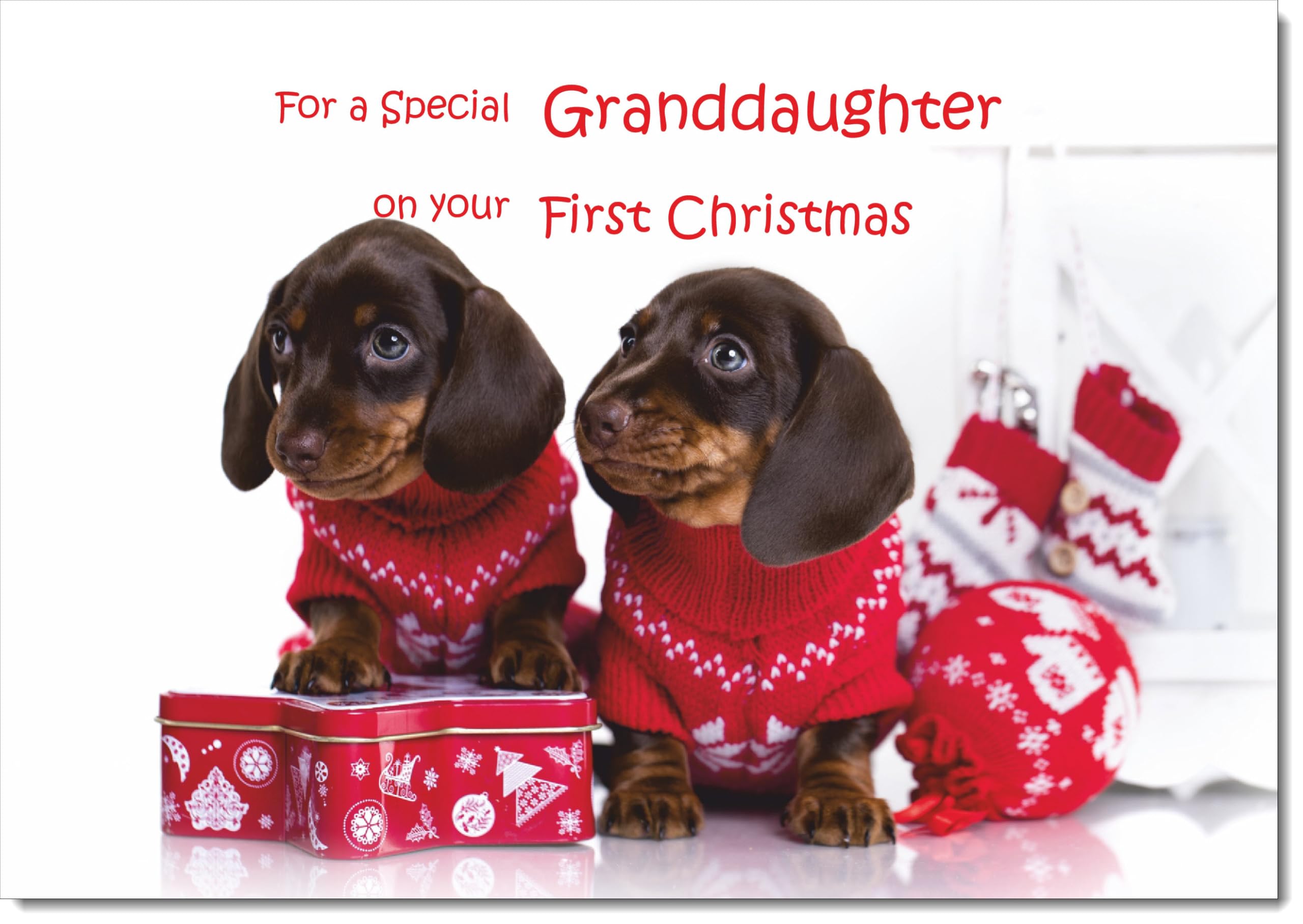doodlecards Granddaughters 1st First Christmas Card Two Dogs with Christmas Jumpers Large A4 Size Christmas Card for Granddaughters 1st with Plain Envelope — image 1