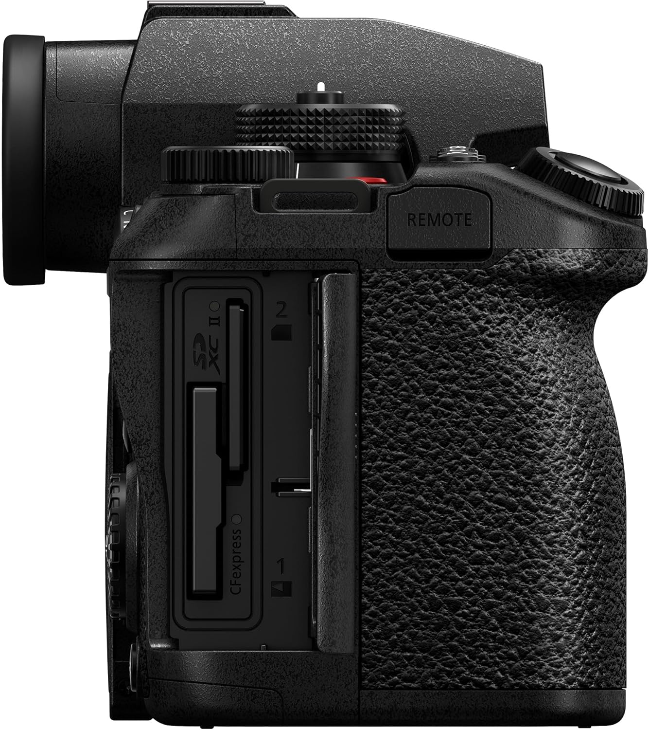Capture Stunning Moments with the LUMIX S1II