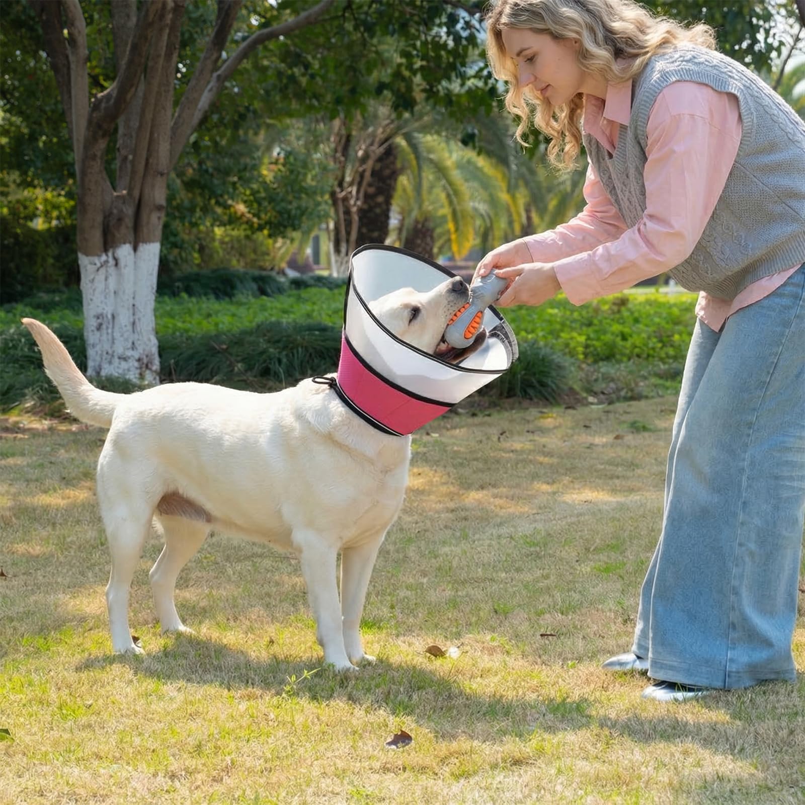 Avont ドッグ エリザベスカラー 犬用 猫用 術後ケア リカバリーカラー 中型 大型犬 調整可能 通気性 舐め防止 引っ掻き防止 傷口保護 -ピンク