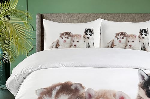 Miniatura 3 de Ambesonne Alaskan Malamute - Juego de funda de edredón de 3 cachorros siberianos, imagen de pedigrí de amigos y ojos azules, juego de ropa de cama