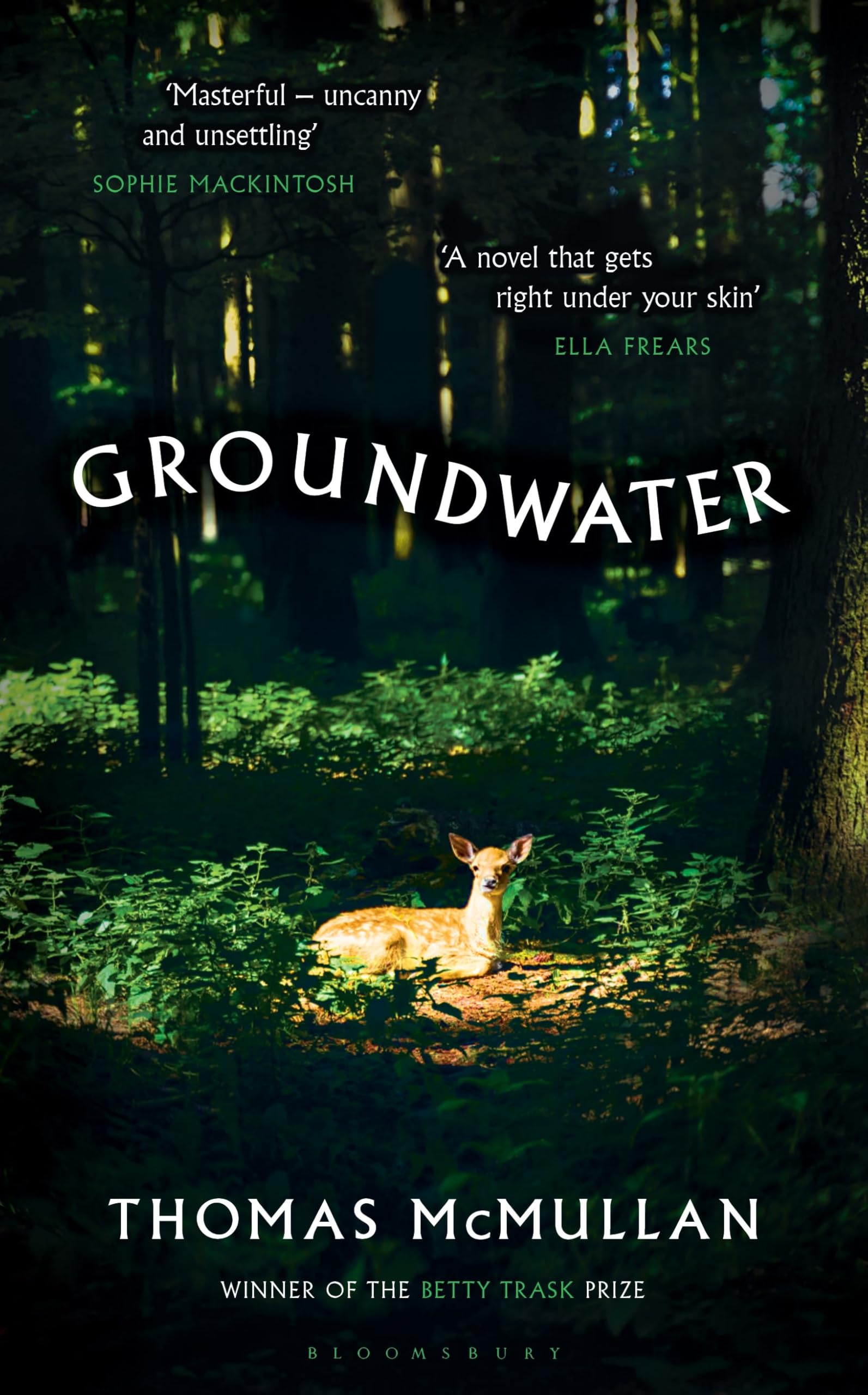 Groundwater: ‘Complex, chilling, masterful' Financial Times