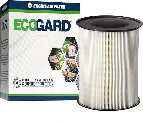 Miniatura 1 de ECOGARD Filtro de aire de motor XA6149 Premium compatible con Ford Focus 2.0L 2012-2018, Escape 2.0L 2013-2019, Escape 1.5L 2017-2019, Escape 1.6L