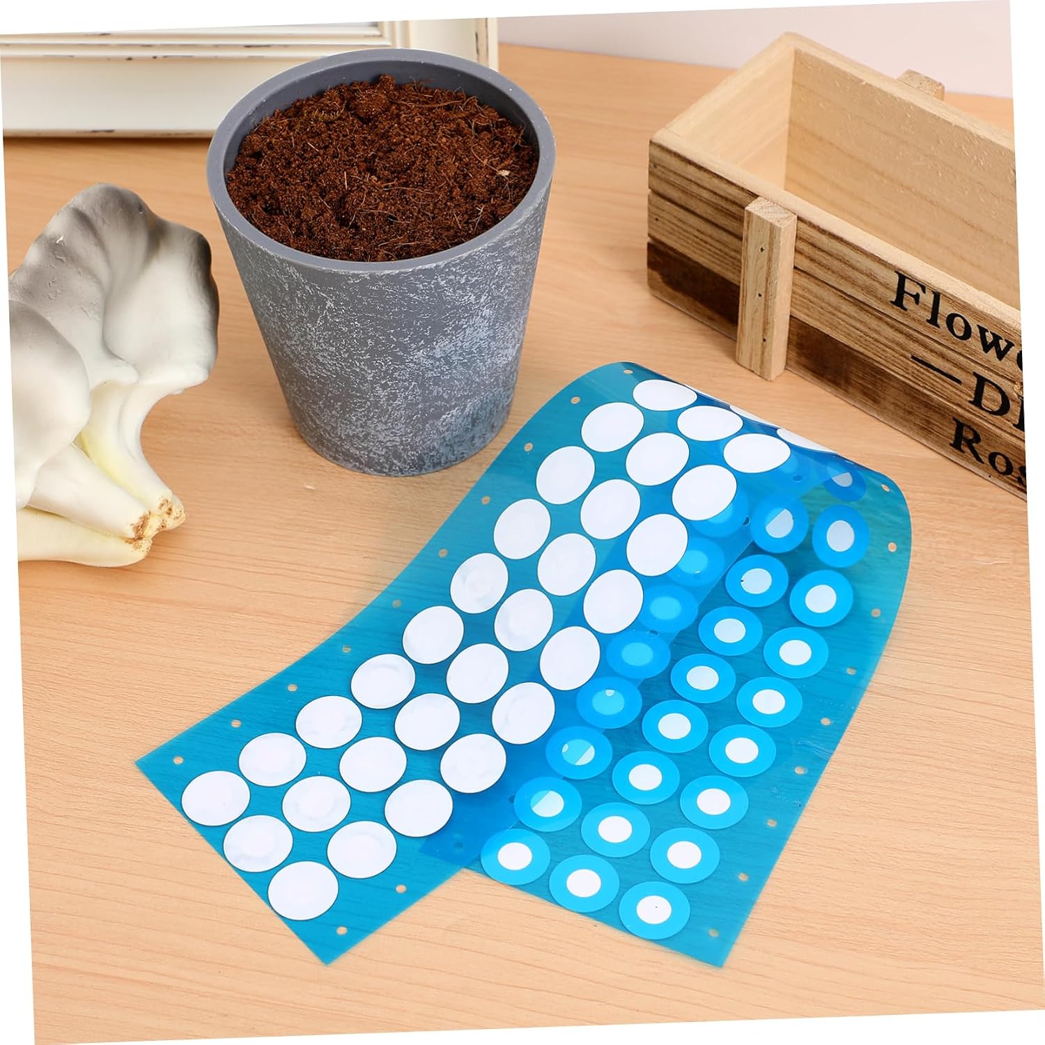 Adhesive Filter Discs 1 Sheet Eptfe Membrane for Mushroom Cultivation