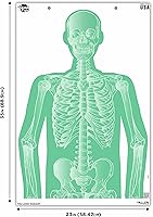 Vista 2 de AC AllenEZ Aim® Fun