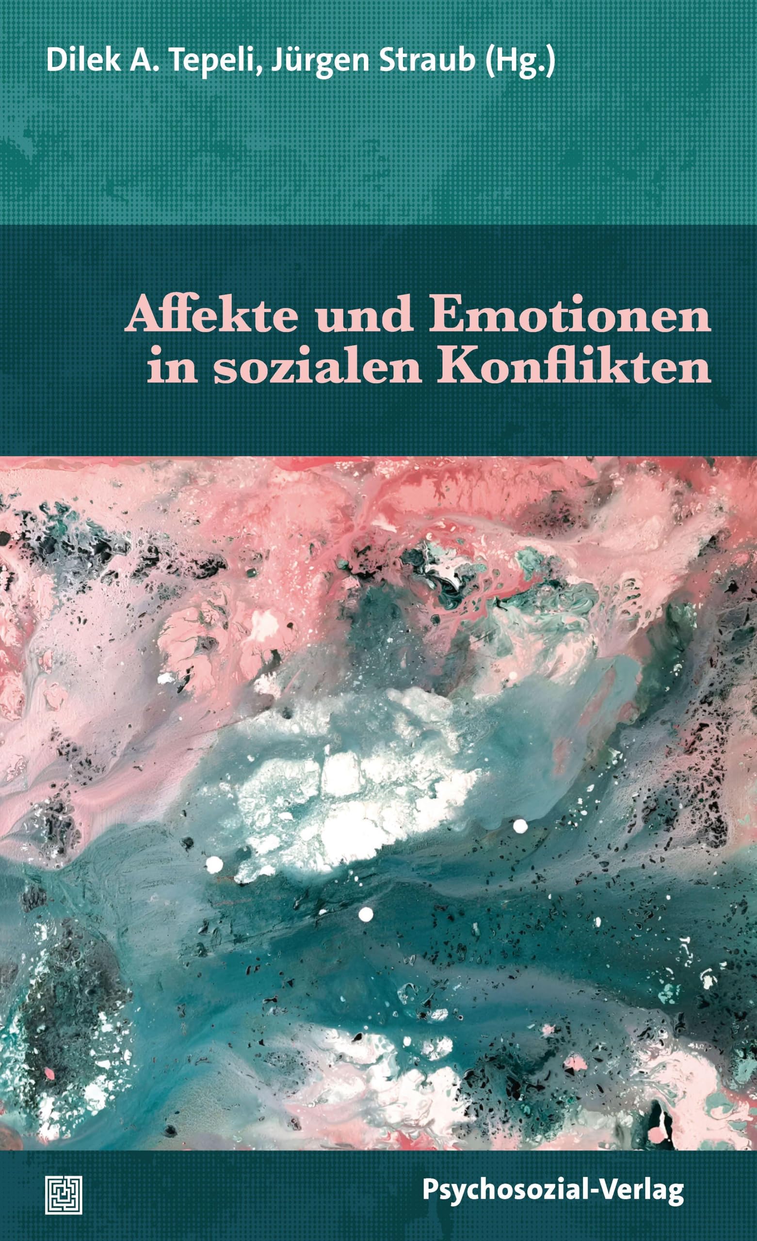 Affekte und Emotionen in sozialen Konflikten (Diskurse der Psychologie)