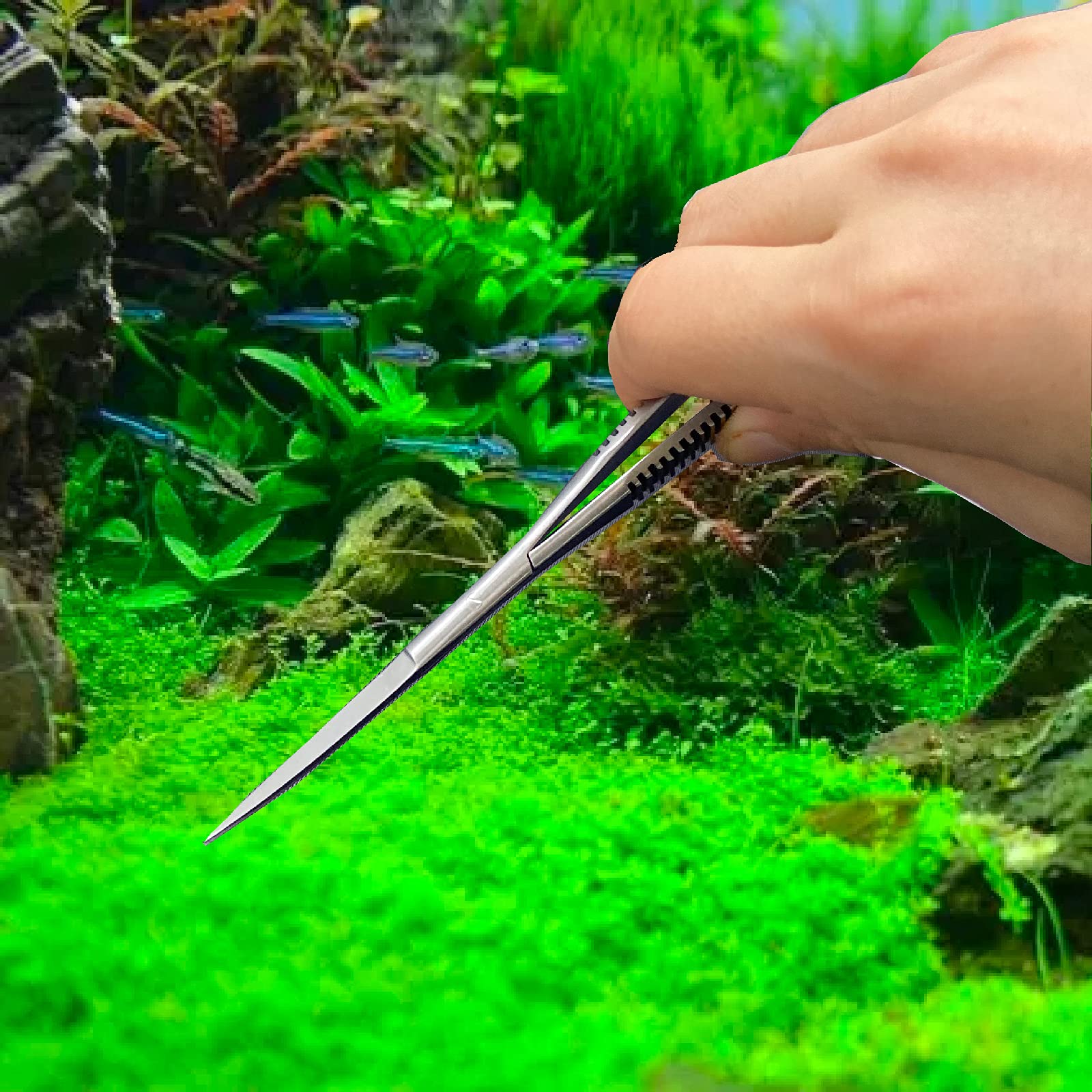 Amazon | VIV水草トリミング 水草 ハサミ ウェーブ ステンレス 水生