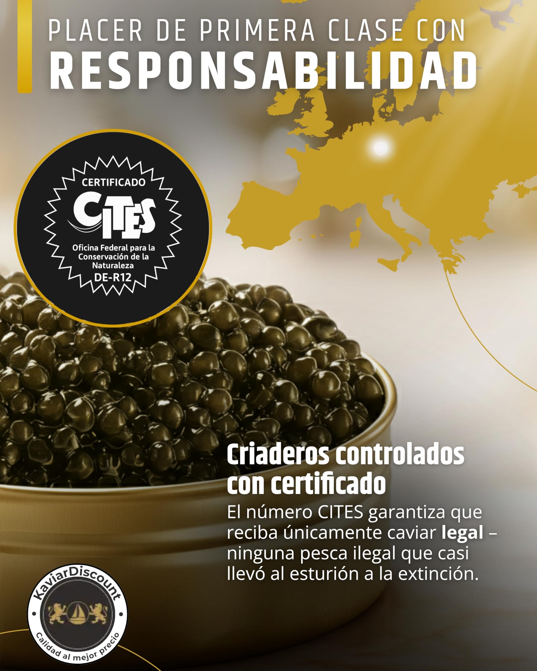 Sepehr Dad Amur Beluga Sturgeon Caviar Premier | cría NC | 125 gramos