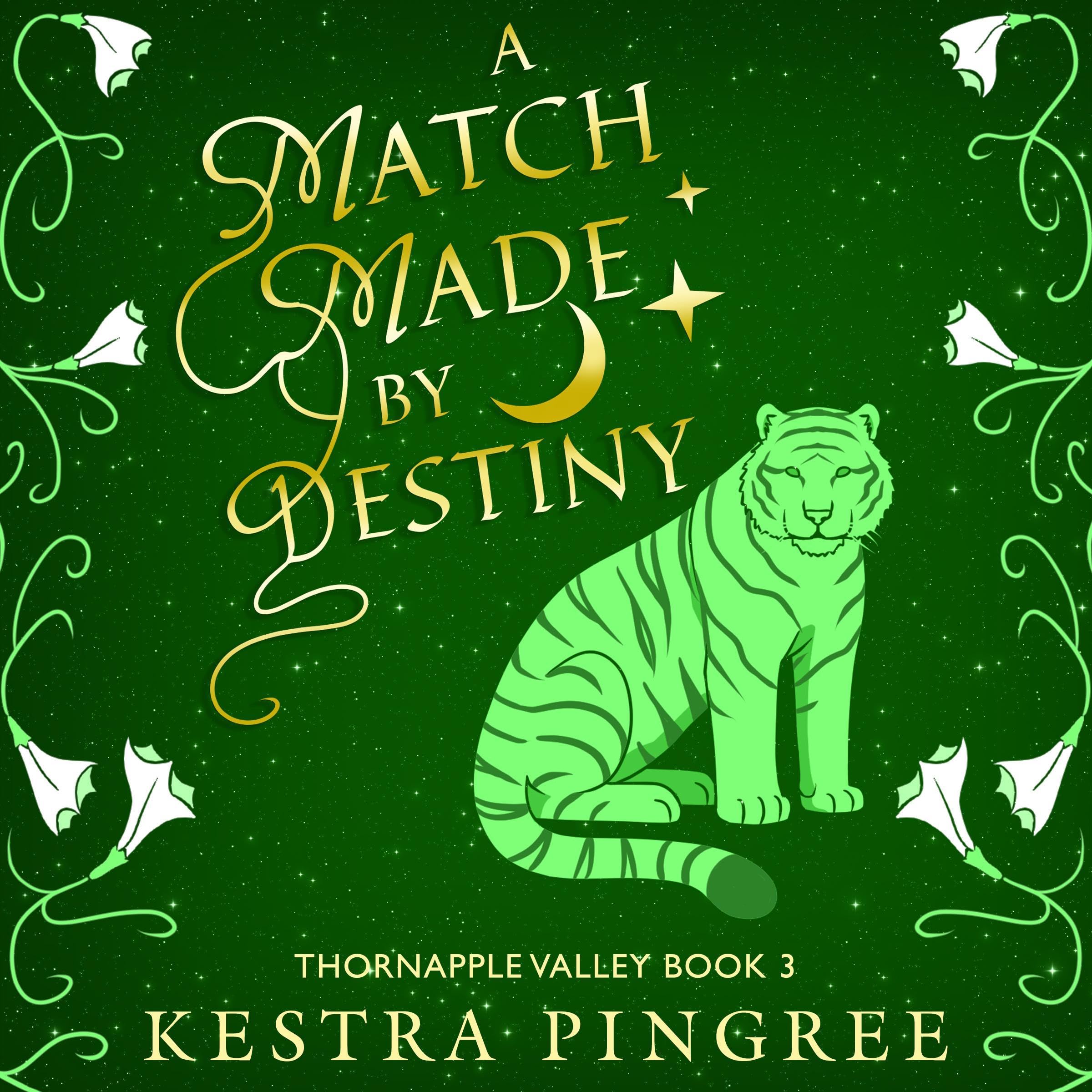 Cover art for A Match Made by Destiny