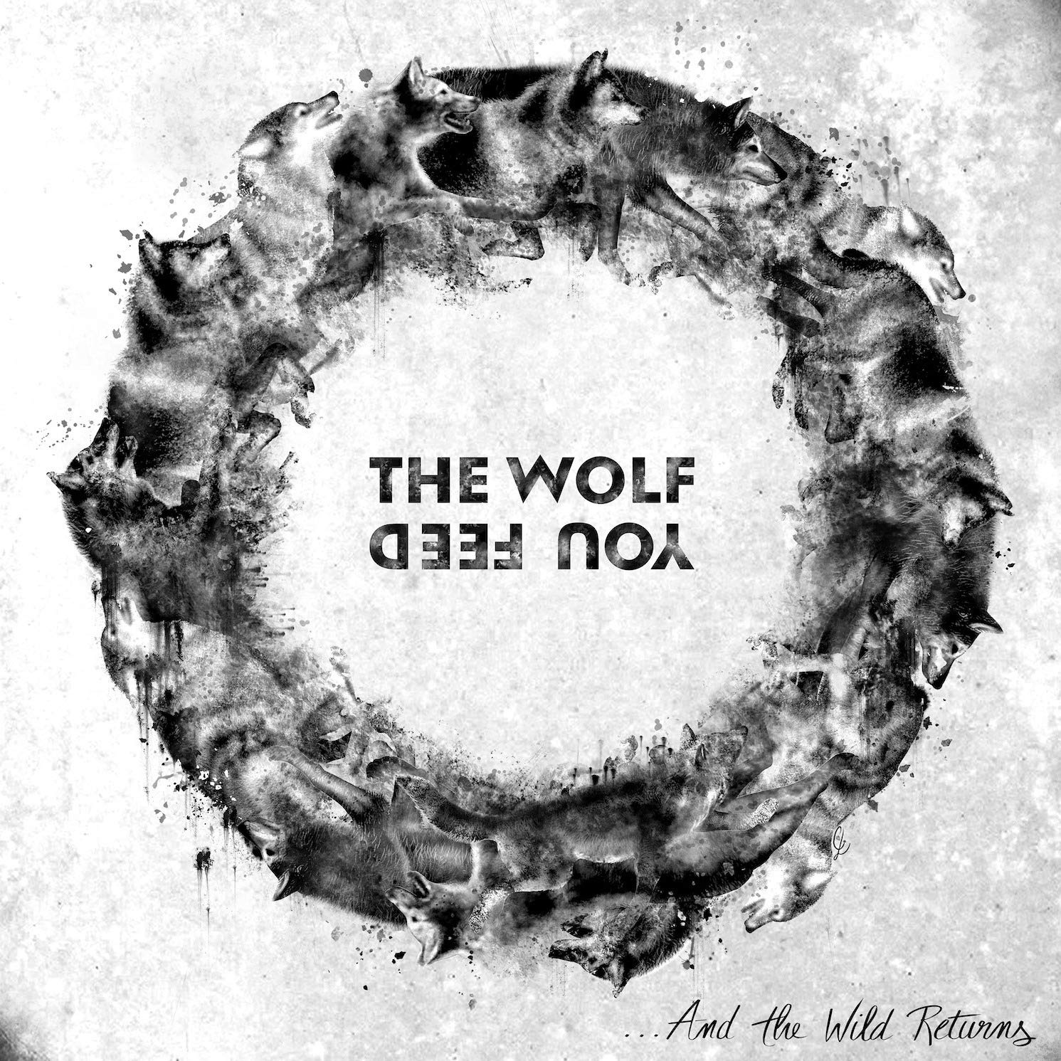 ...and the Wild Returns