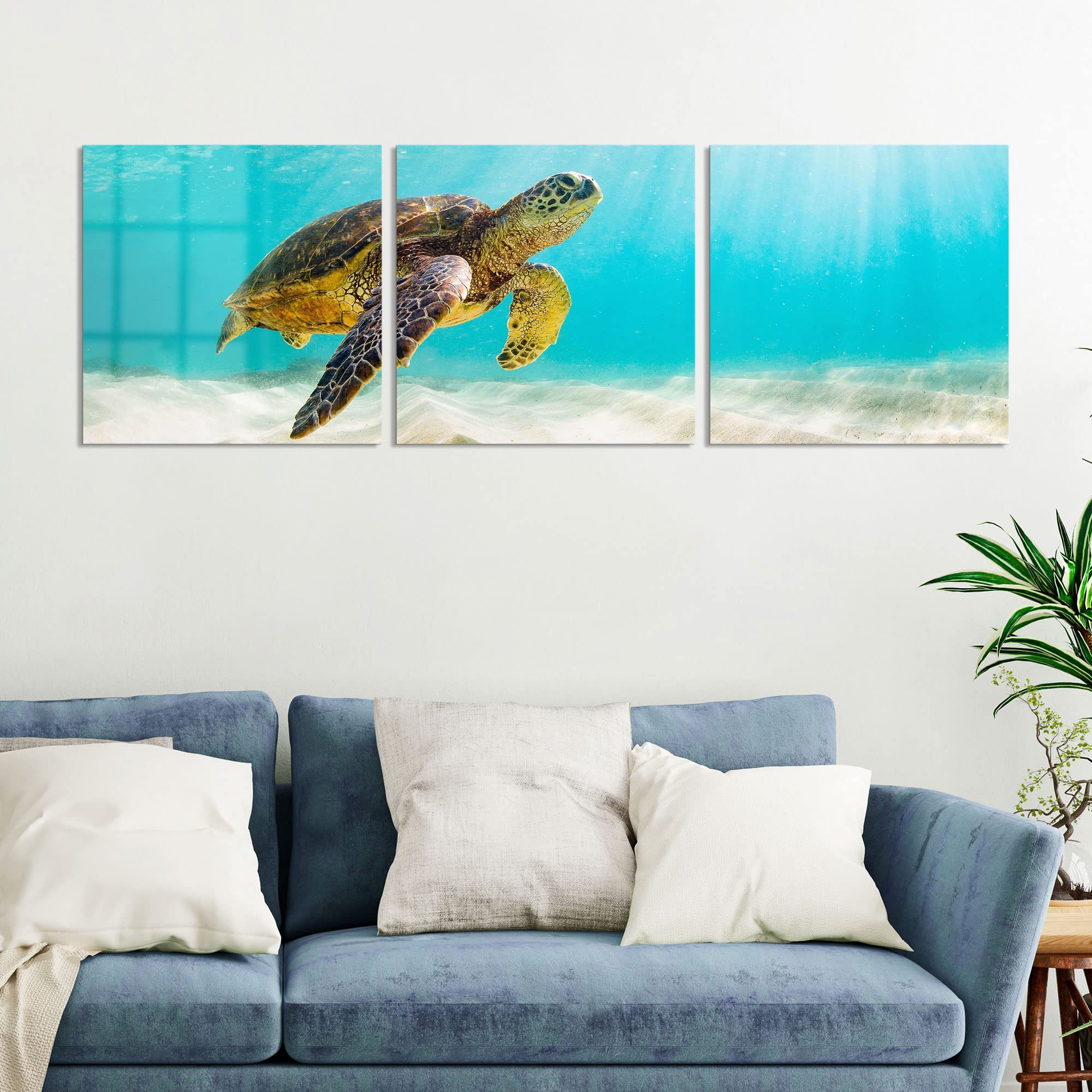 DEQORI Glasbilder Echtglas | Motiv Schildkröte unter Wasser | horizontal 3-teilig 150x50 cm | große XXL Deko | Wandbilder für Wohnzimmer, Schlafzimmer, Flur & Küche | moderne Wanddeko