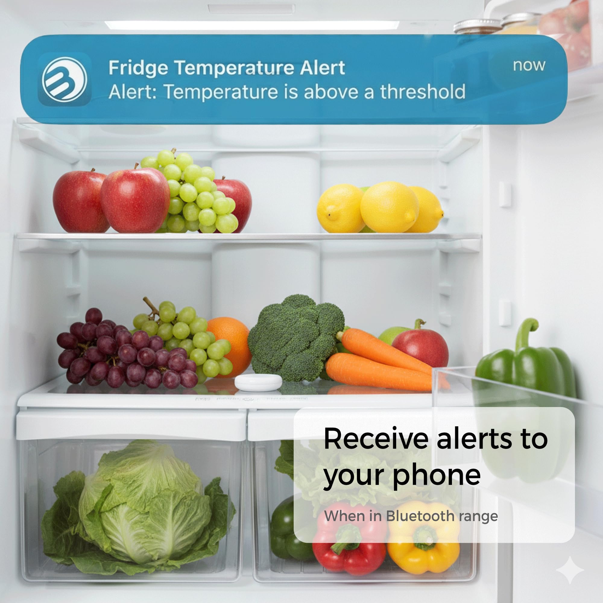 Temperature and Humidity Monitor - 3-in-1 Wireless Indoor/Outdoor Hygrometer with Dew Point, Bluetooth Enabled Data Logging, High-Precision Sensor - Outdoor/Indoor Humidity Meter — Amazon image 4