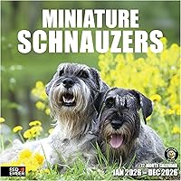 Vista 41 de RED EMBER Calendario de pared 2025 con diseño de cachorros de 12 meses, 12 x 24 pulgadas, abierto, papel grueso y resistente, para regalo