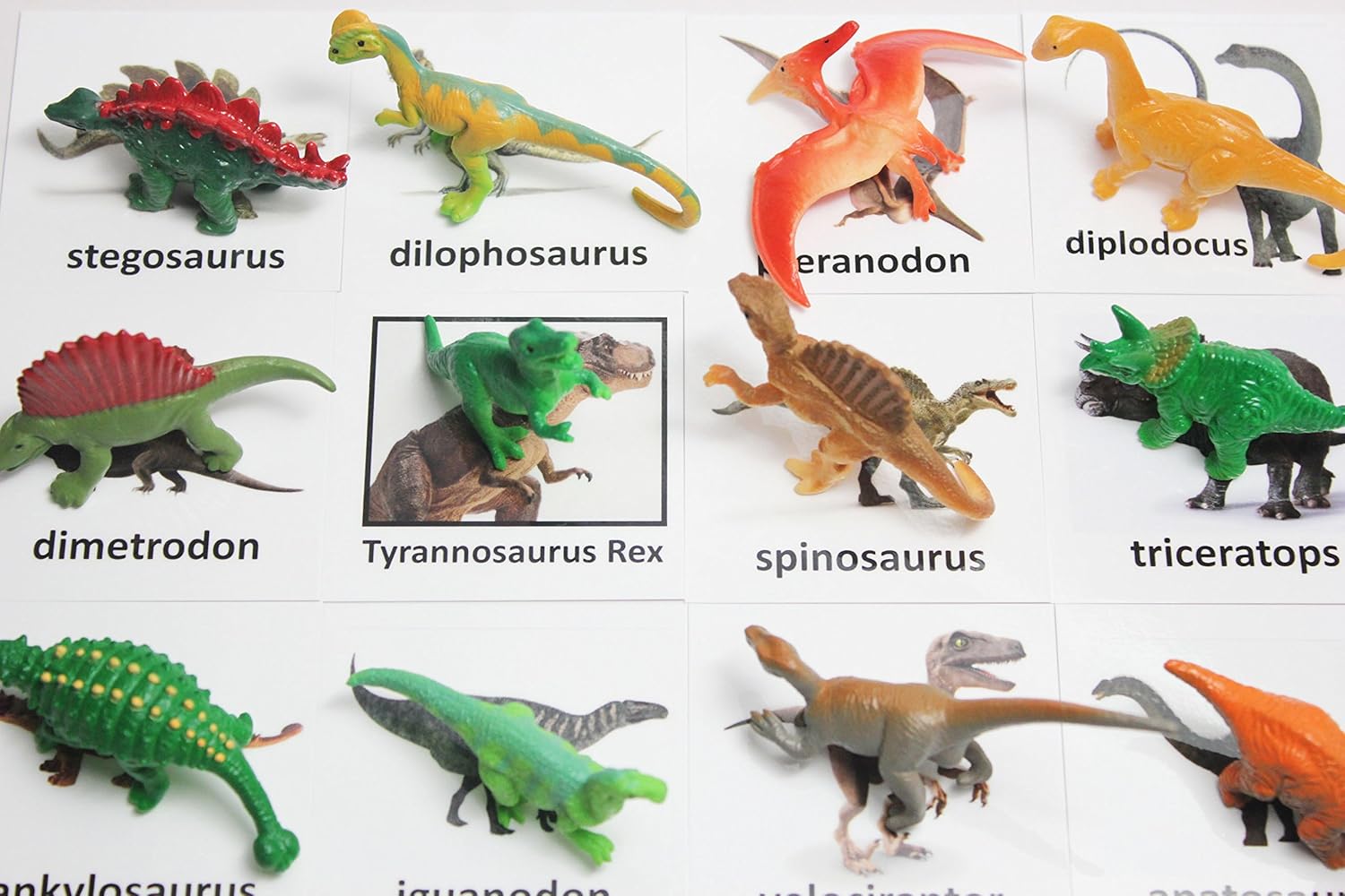 Curious Minds Busy Bags Montessori Dinosaur Figure Animal Match - Miniature Dino Figurines with Matching Cards - 2 Part Cards. Montessori Learning Toy, Language Materials