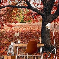 Vista 83 de artgeist Mural de Pared Forestal 154x122 pulg - Adhesivo de Pared Autoadhesivo para Despegar y Pegar, Adhesivo de Pared, Adhesivo de Foto