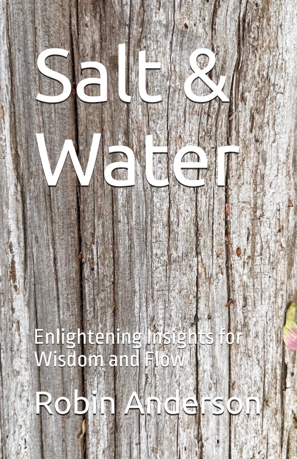 Salt & Water: Enlightening Insights for Wisdom and Flow