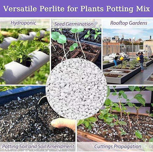 Miniatura 7 de Perlita orgánica de 10 cuartos de galón para plantas, enmienda de suelo de perlita hortícola para plantas, mezcla de macetas, acondicionador de