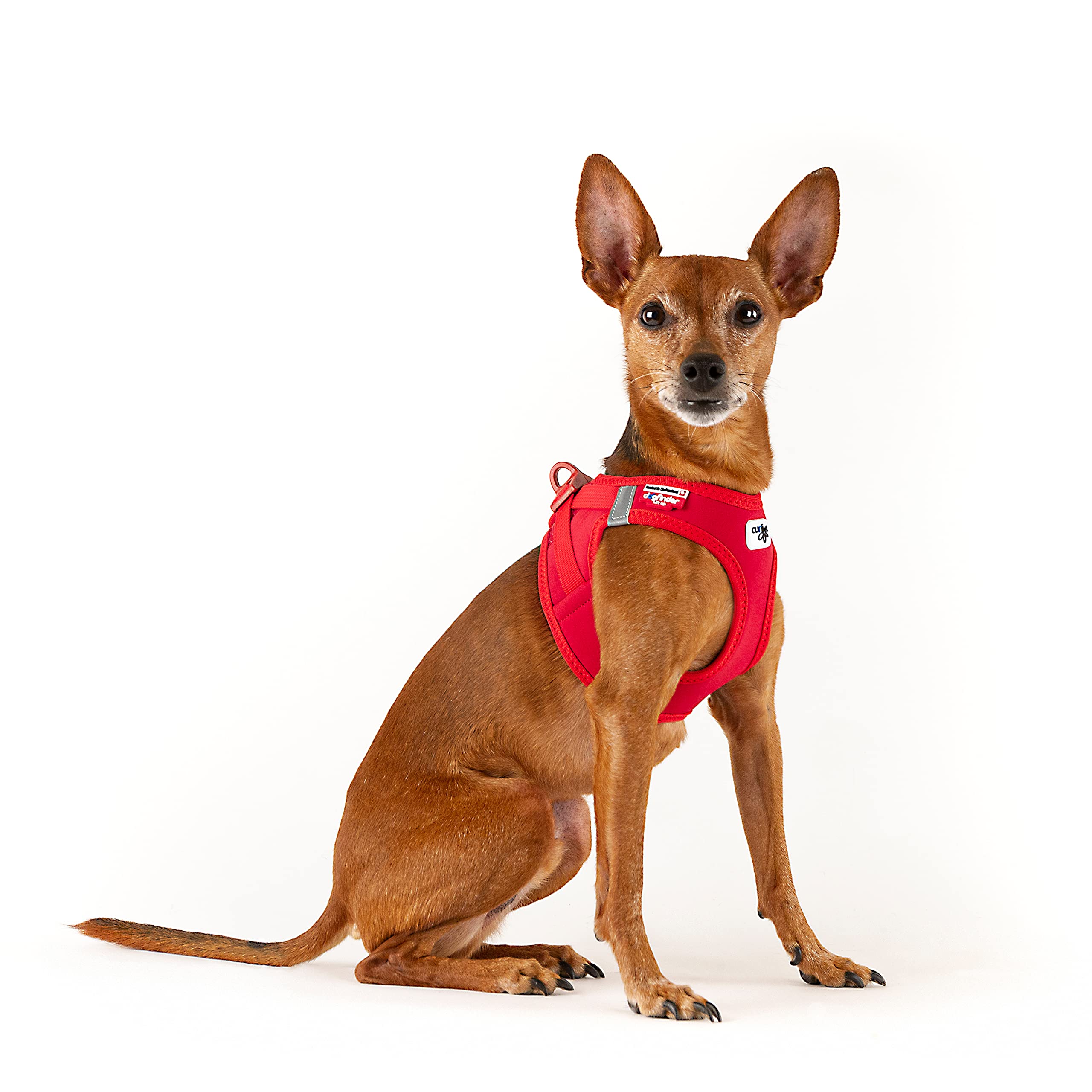 Vest Harness curli Clasp Softshell Red 3XS - Image 2