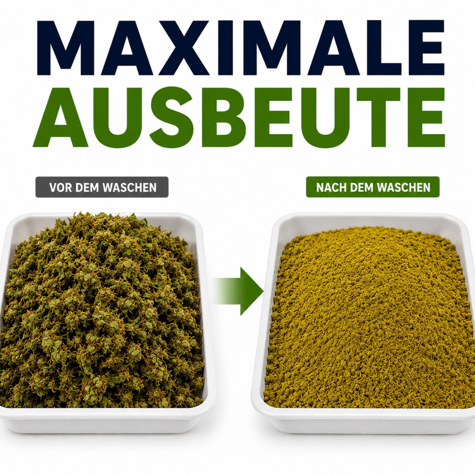Weedness Máquina de polen 500 gramos XL Set – Polm Shaker restos de cosecha secado procesamiento trituradora trituradora extractor de polen