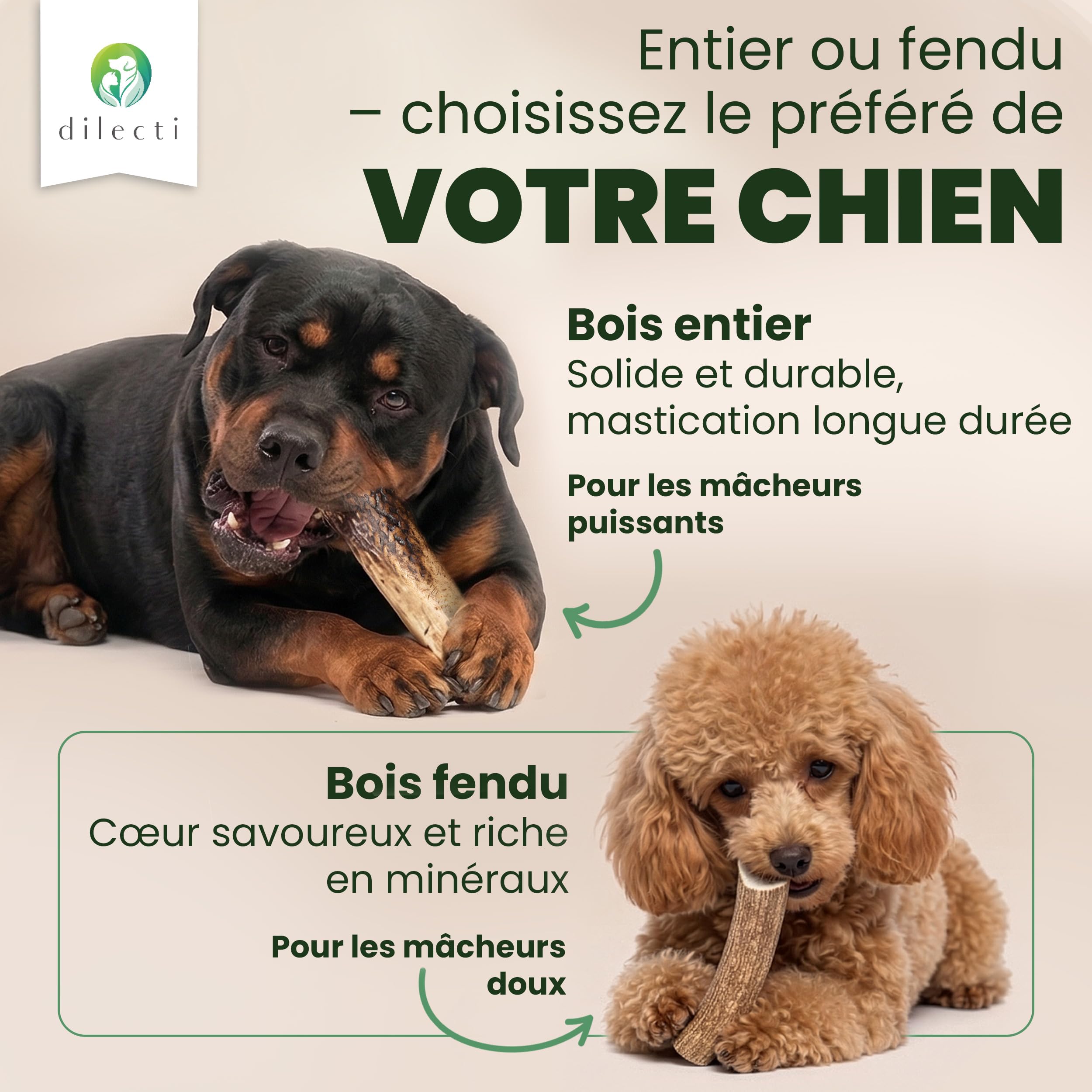 Bois de Cerf à Mâcher - Os à Ronger Longue Durée pour Chien, Jouet d'Occupation Résistant et Friandises pour Chien - Fendu S, Paquet de 3