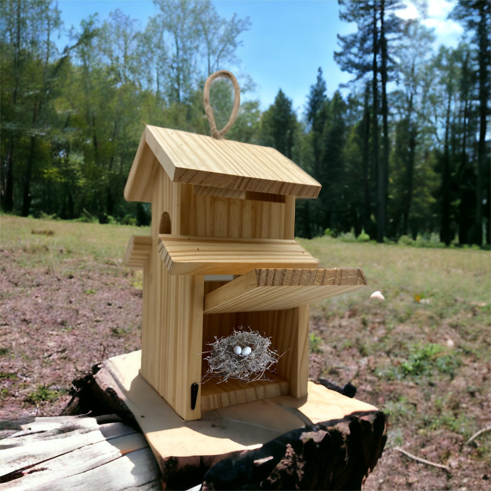 Amazon.com: 2-Pack Bird House - Outdoor- Bluebird, Finch