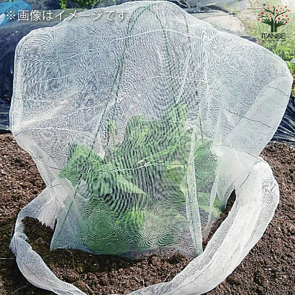 防虫ネット　セット　丸鉢用 Amazon.co.jp: 防虫ネットセット 丸鉢用 1個売り【用途で選べる用品