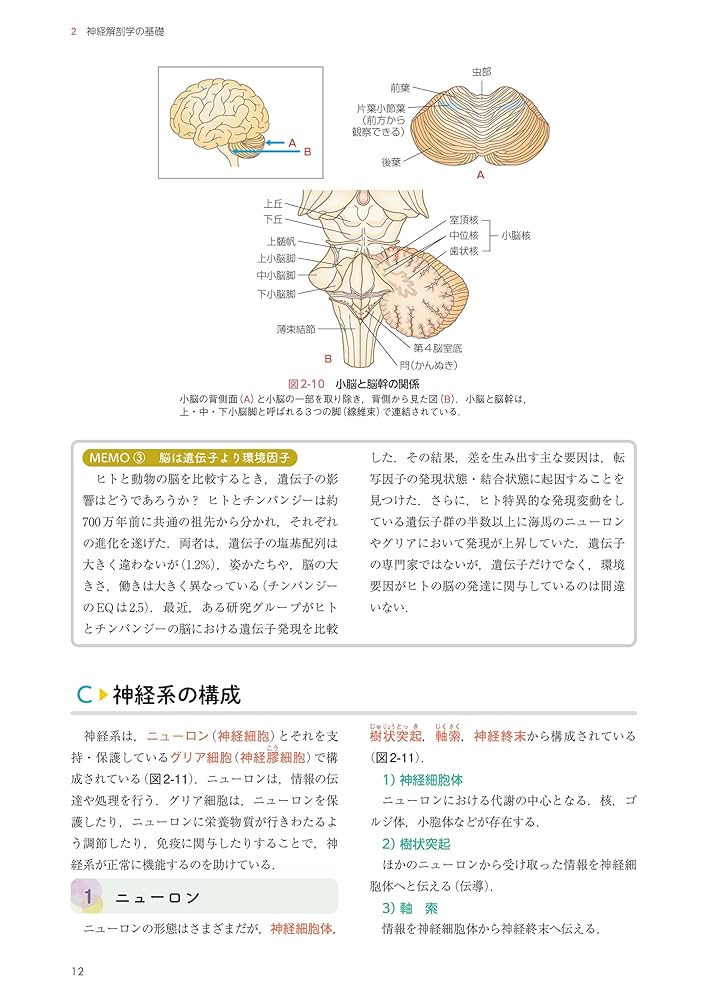 なるほどなっとく!脳神経内科学 | 飛松 省三, 谷脇 考恭 |本