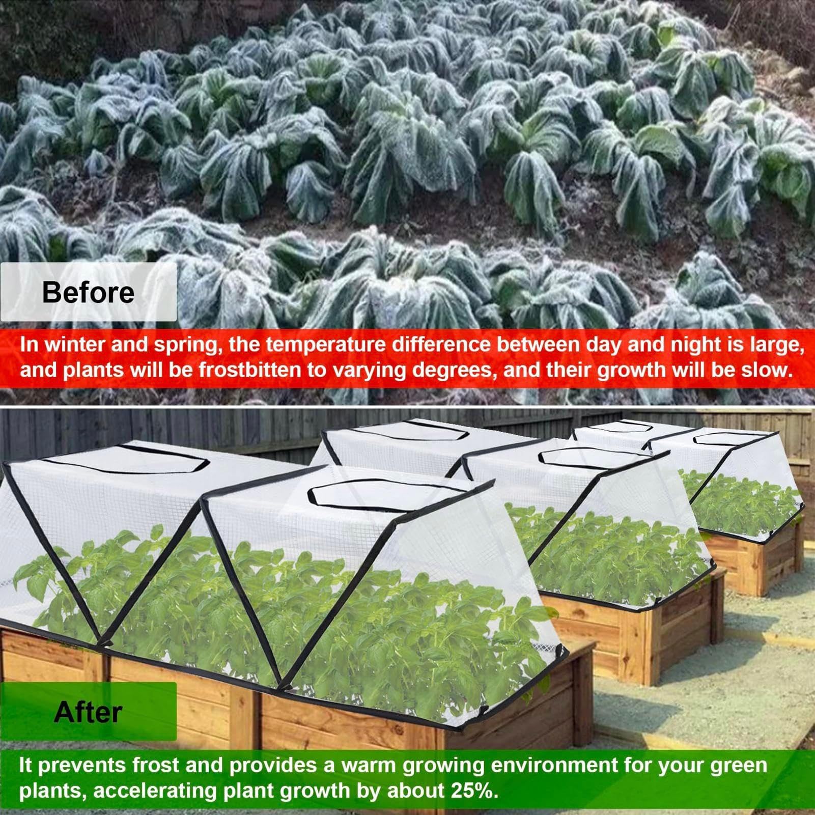Gabbie per piante, protezione contro il gelo, trasparenti, impermeabili, contro il gelo invernale, gabbie di protezione per piante in inverno, per verdure, frutta, arbusti, alberi, serra