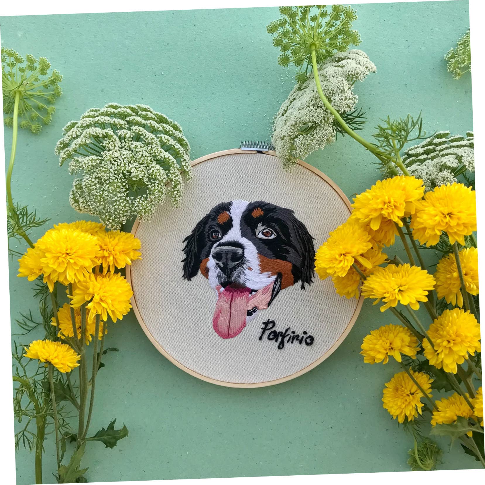 HOMSFOU 1pc The Embroidered Wool Needles Embroidery Beginner Making Fabric Art Cross Stitch Craft Materials Tufting Needle Wool Needle Sewing Fixed Needle Punch Needle White Cloth