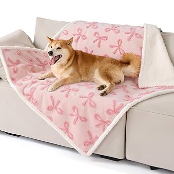 【VAULTROOM】DOG & DUCK BLANKET 2 Piece Bundle: Donut Shag Bed, Throw Blanket Cat & Dog