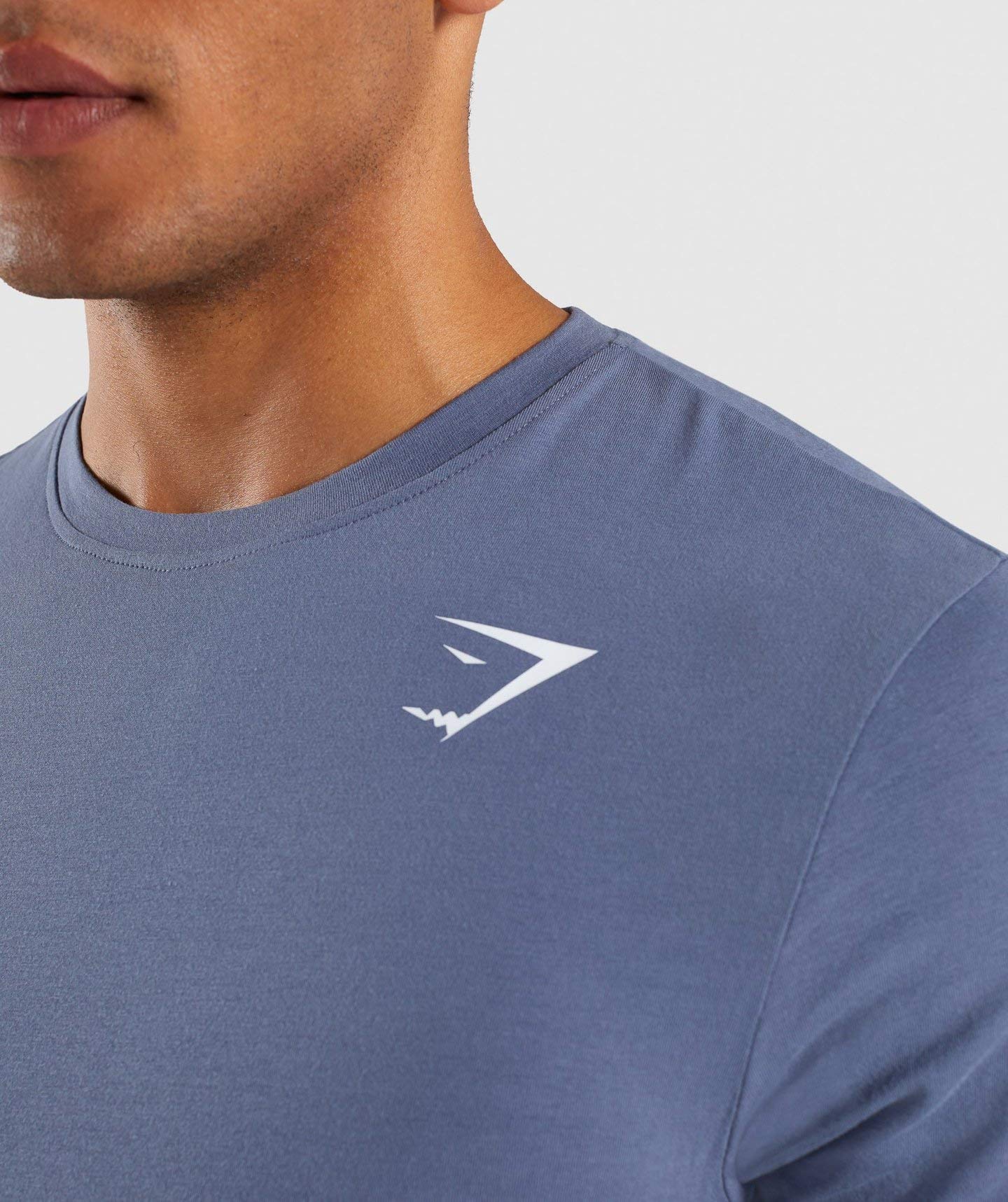 Amazon.co.jp: GymShark ジムシャーク ARK Tシャツ エーゲブルー